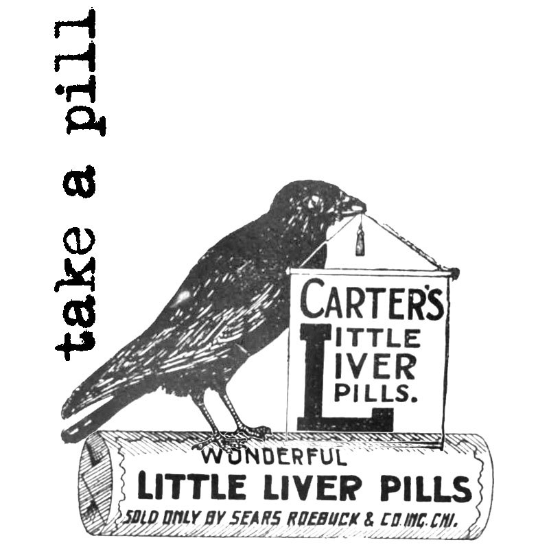#1799 - Take A Pill Crow - Eclectic/Words